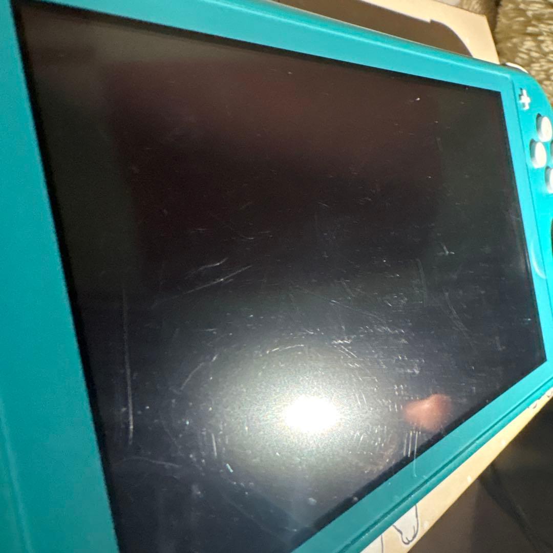 Switchライト本体のみ