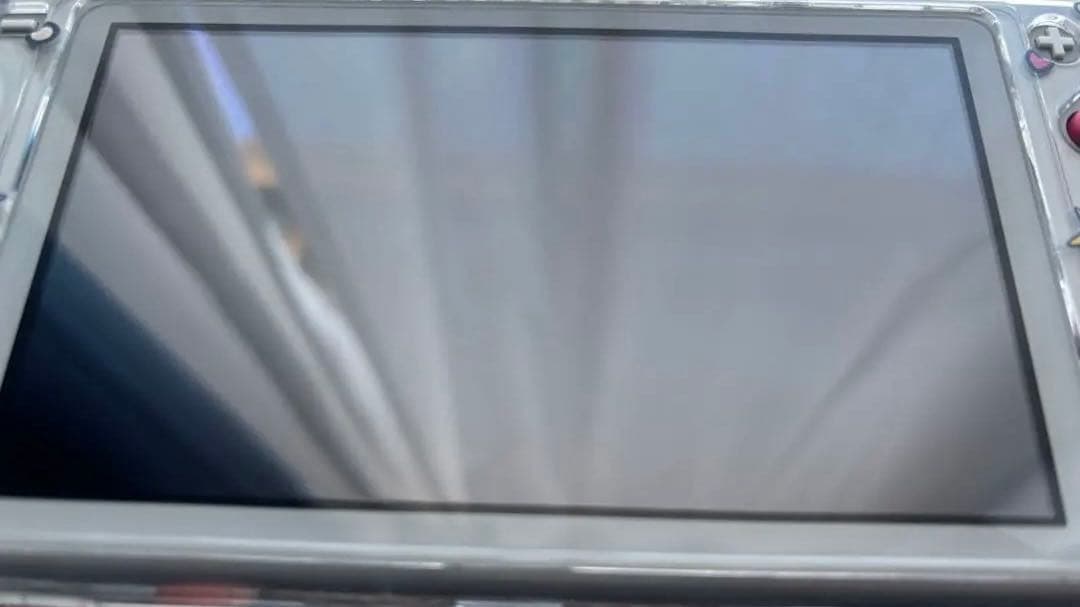 Nintendo Switch Lite 充電器・ケース・SDカード付