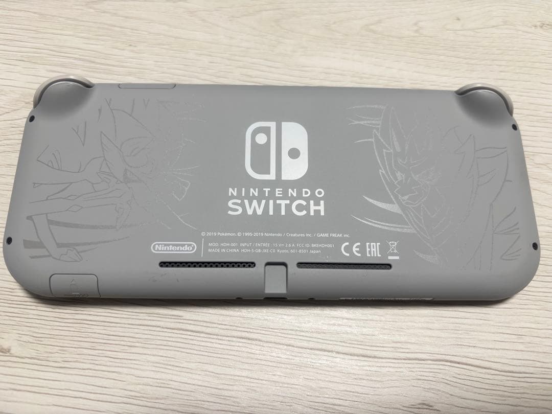 Nintendo Switch Lite 充電器・ケース・SDカード付
