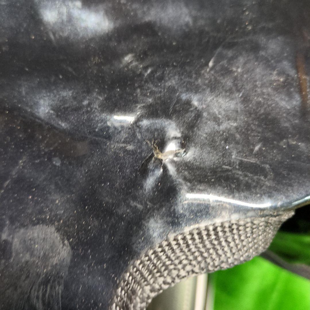 キャロウェイ　キャディバッグ　エナメル生地　ブラック　6分割　メンズ