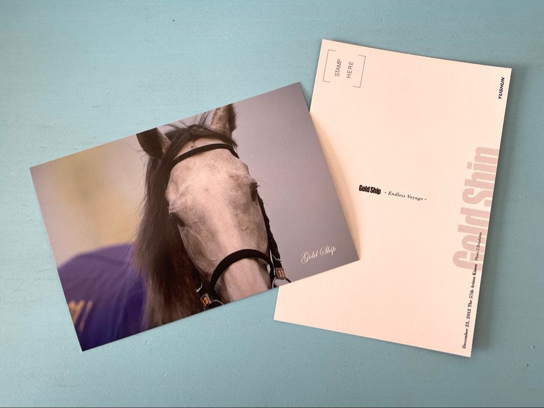 優駿　ゴールドシップ　写真集&DVD 黄金の帆を揚げて　特別編集　永久保存版