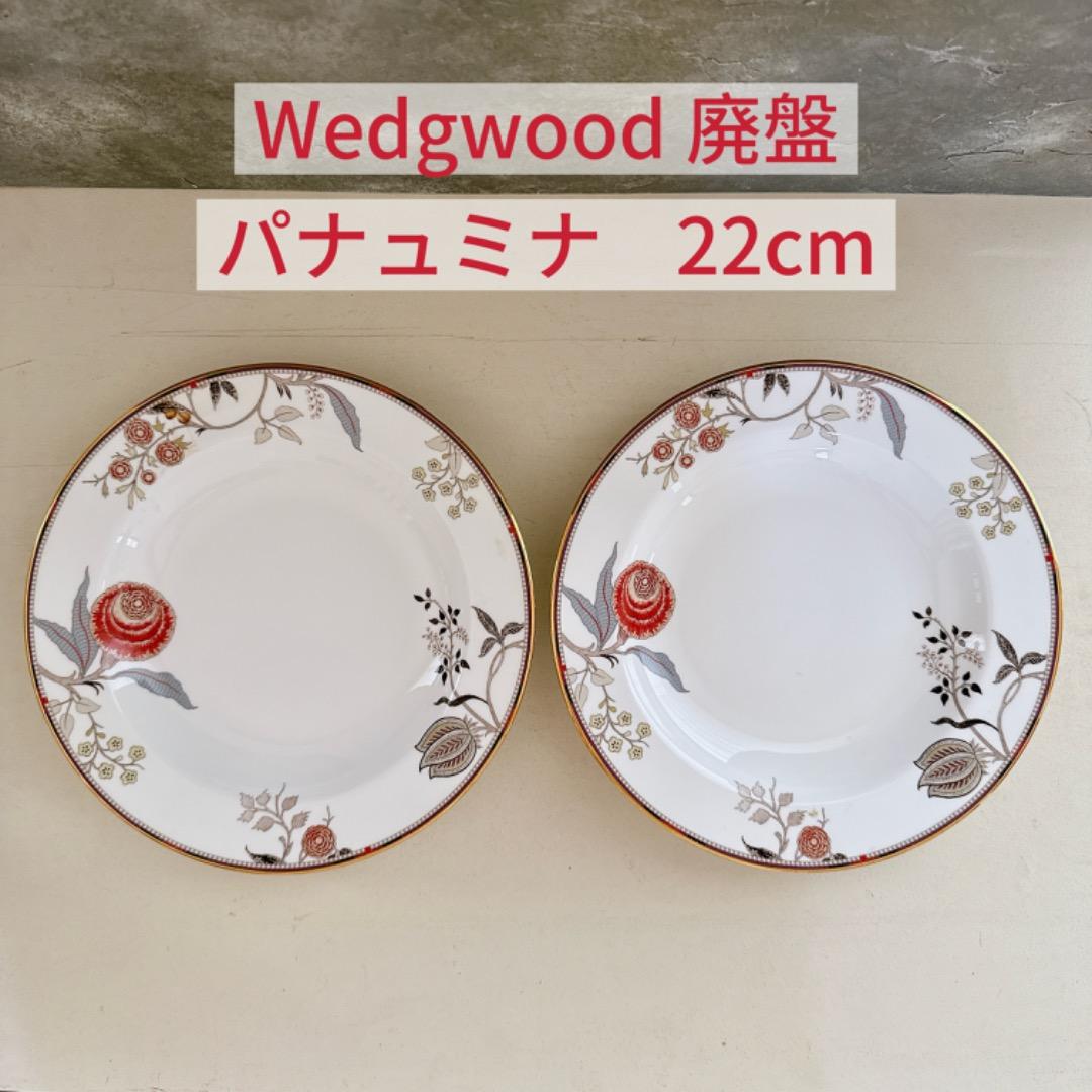  パナユミナ 皿 22cm 2枚セット