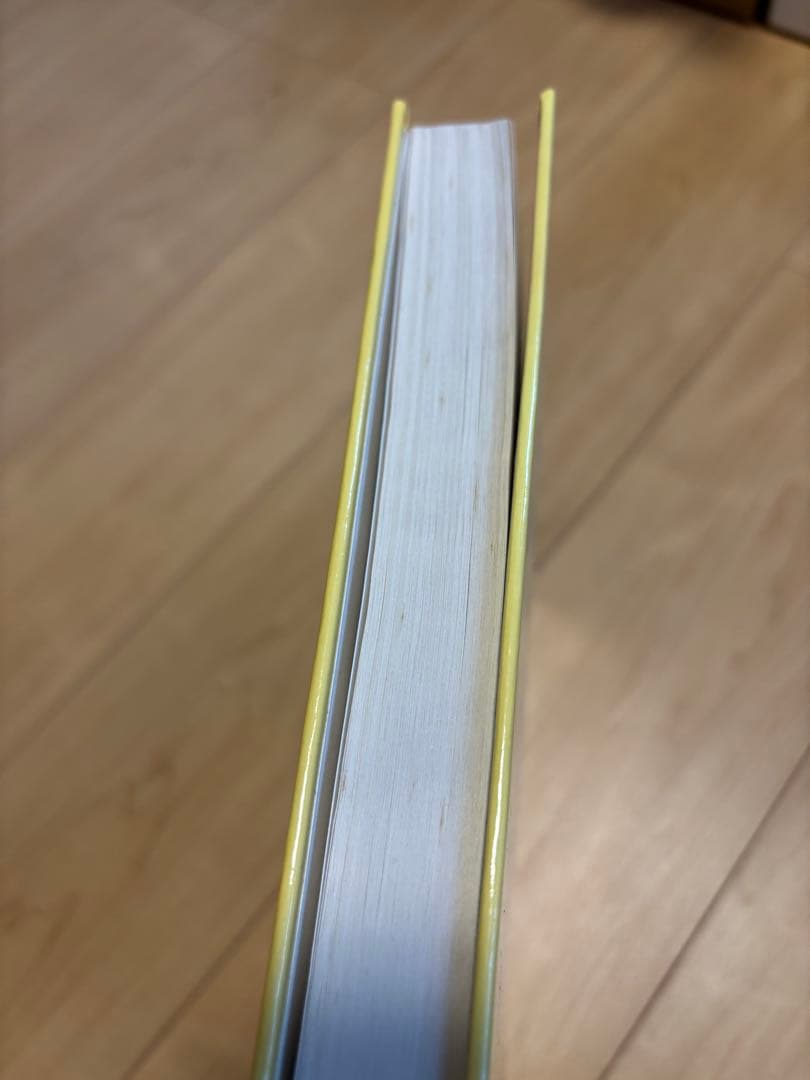 SOCIAL PSYCHOLOGY 第6版　社会心理学