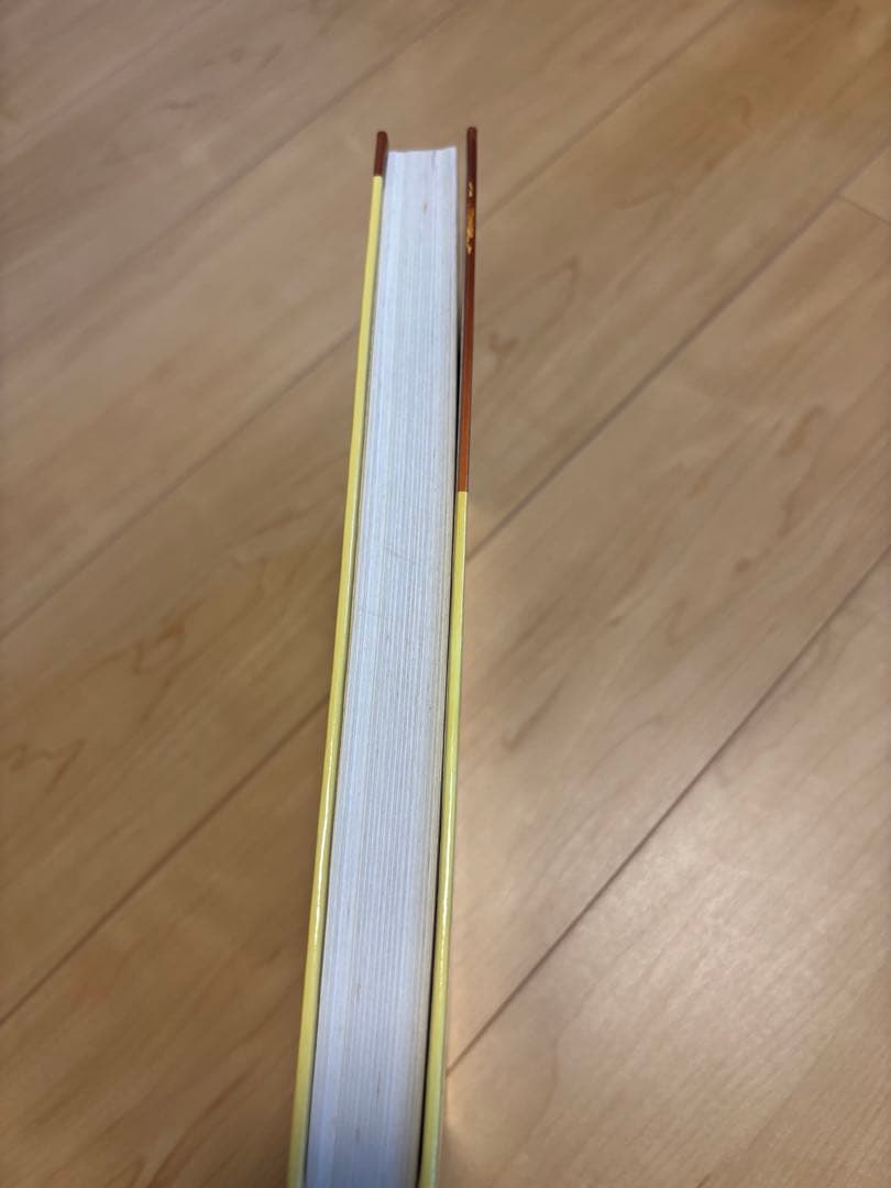 SOCIAL PSYCHOLOGY 第6版　社会心理学