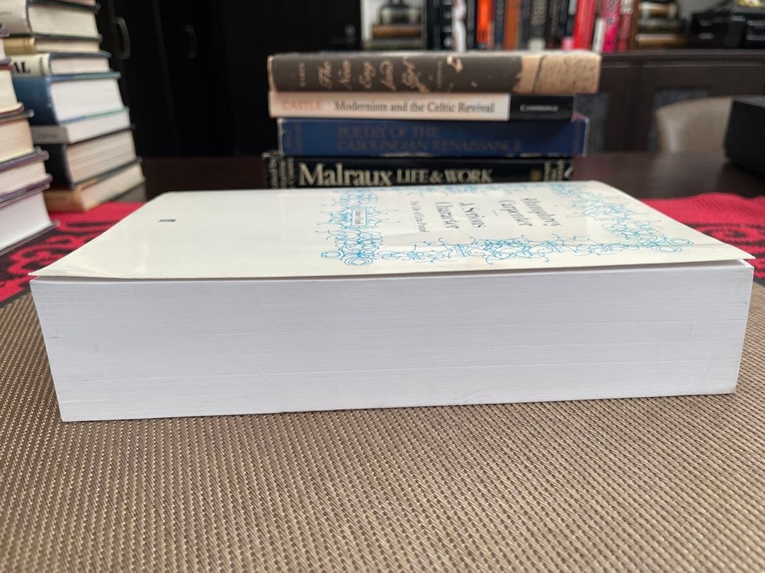 洋書 A Serious Character Life of Ezra Pound