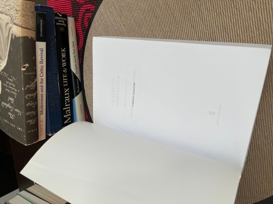 洋書 A Serious Character Life of Ezra Pound