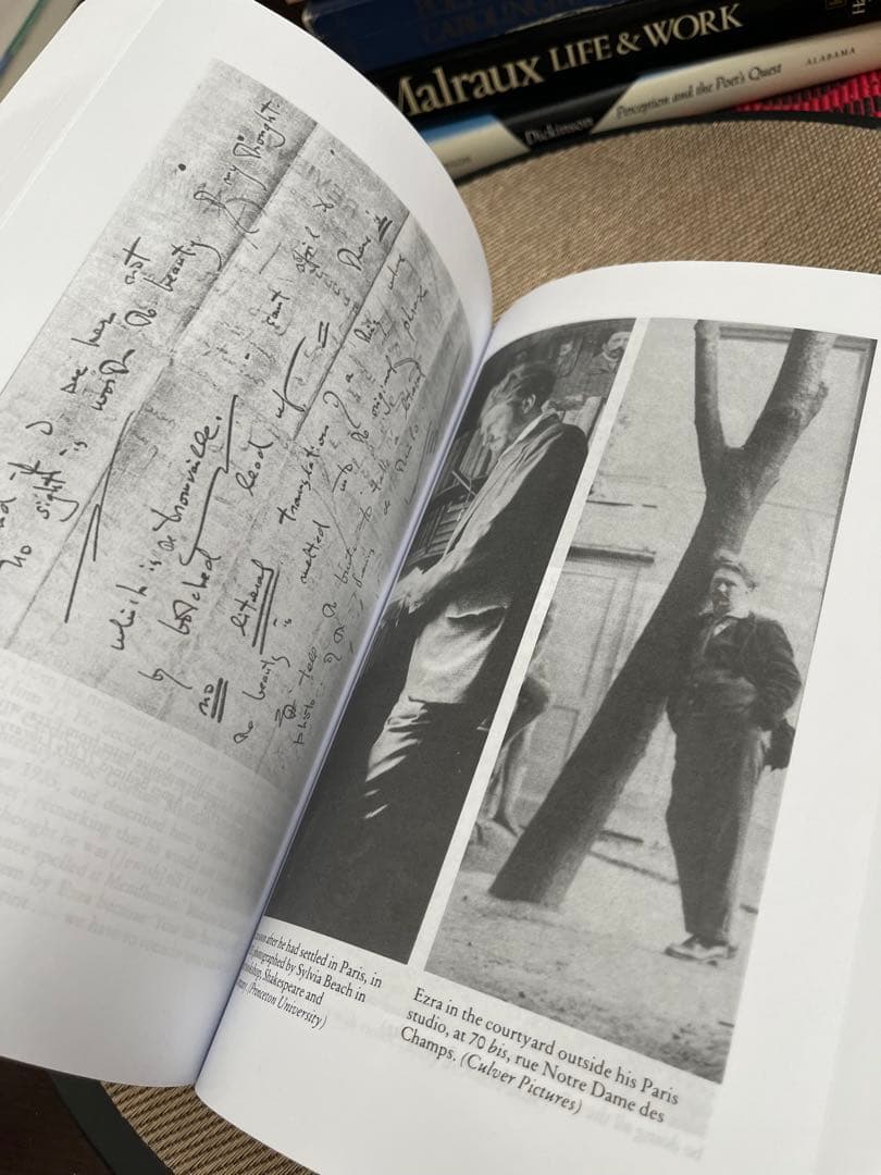 洋書 A Serious Character Life of Ezra Pound