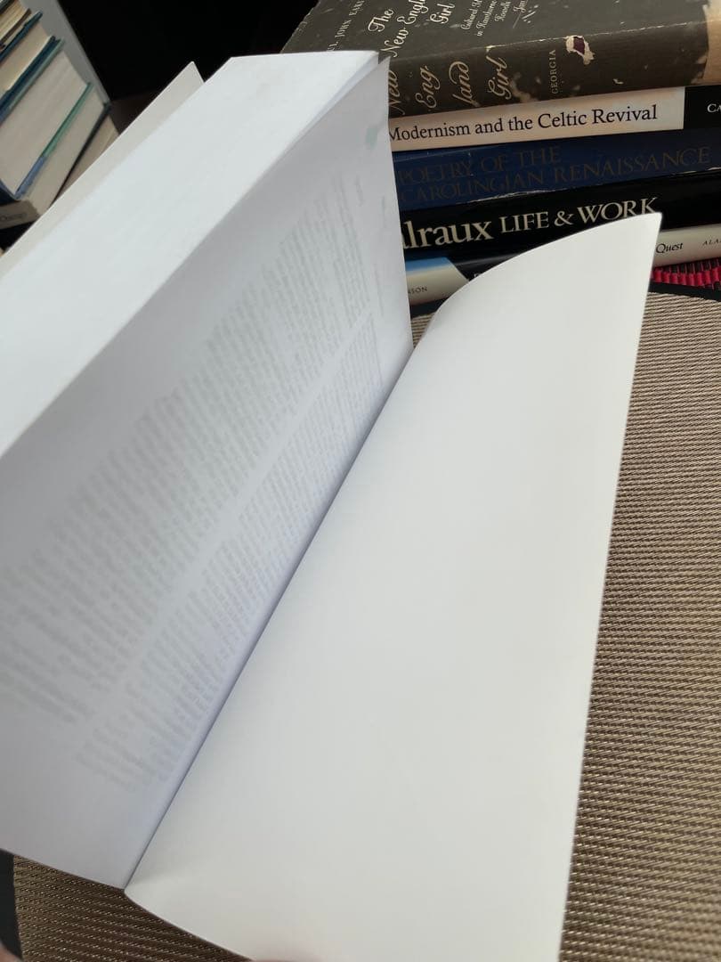 洋書 A Serious Character Life of Ezra Pound