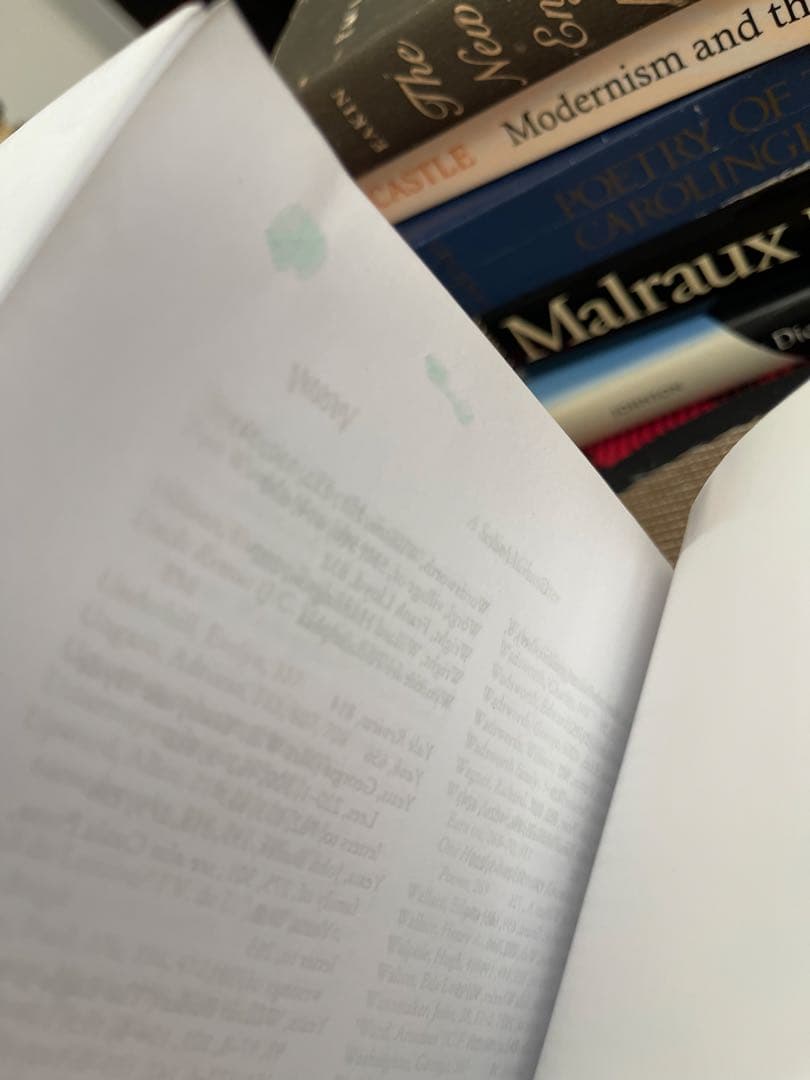 洋書 A Serious Character Life of Ezra Pound