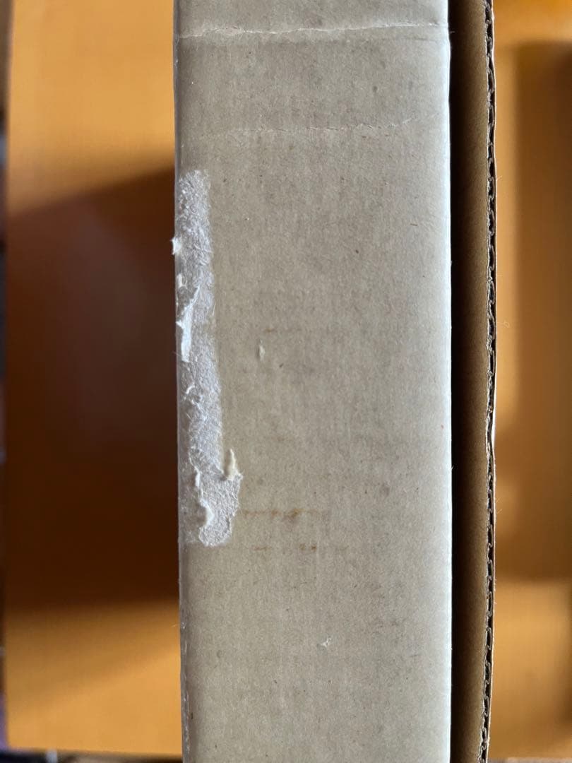 ロバート・メイプルソープ　写真集　MAPPLETHORPE