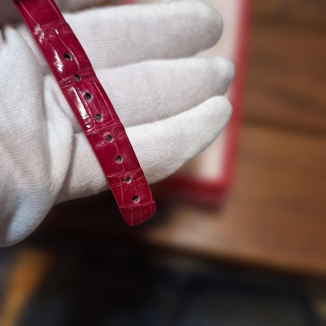 ルキア　ピエール・エルメ SSVW140ピエール　電波ソーラー 　2000本限定