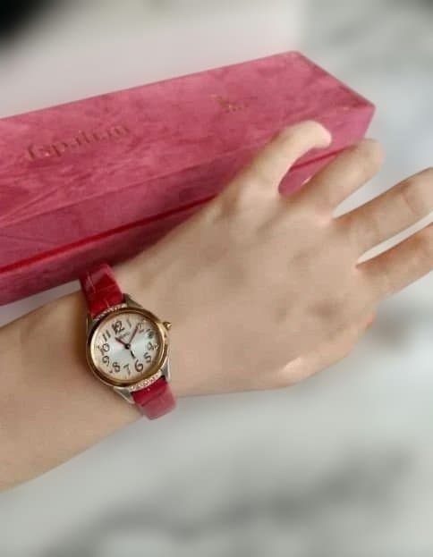 ルキア　ピエール・エルメ SSVW140ピエール　電波ソーラー 　2000本限定