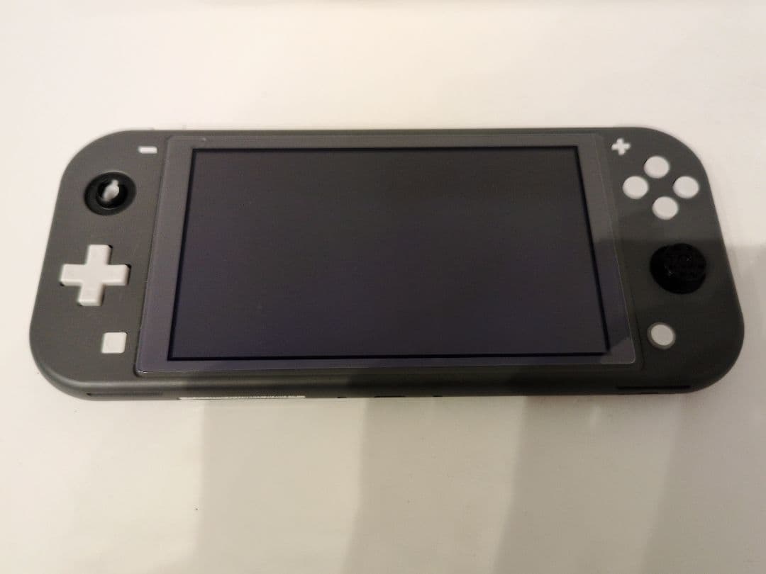 【ジャンク】ニンテンドー Nintendo Switch Lite 本体のみ