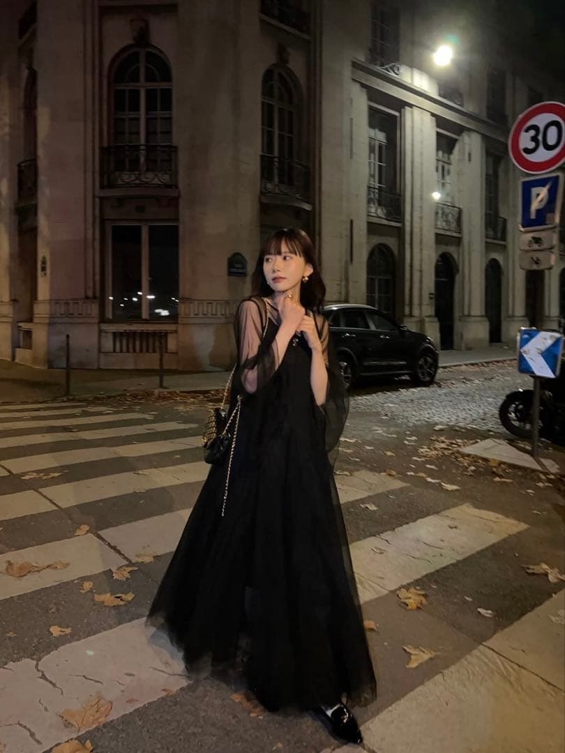 THE TOÉ Bluebell Tulle Dress S