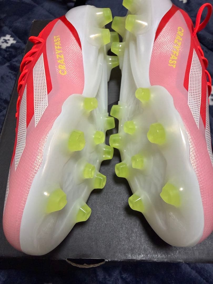 イワサキコーチ