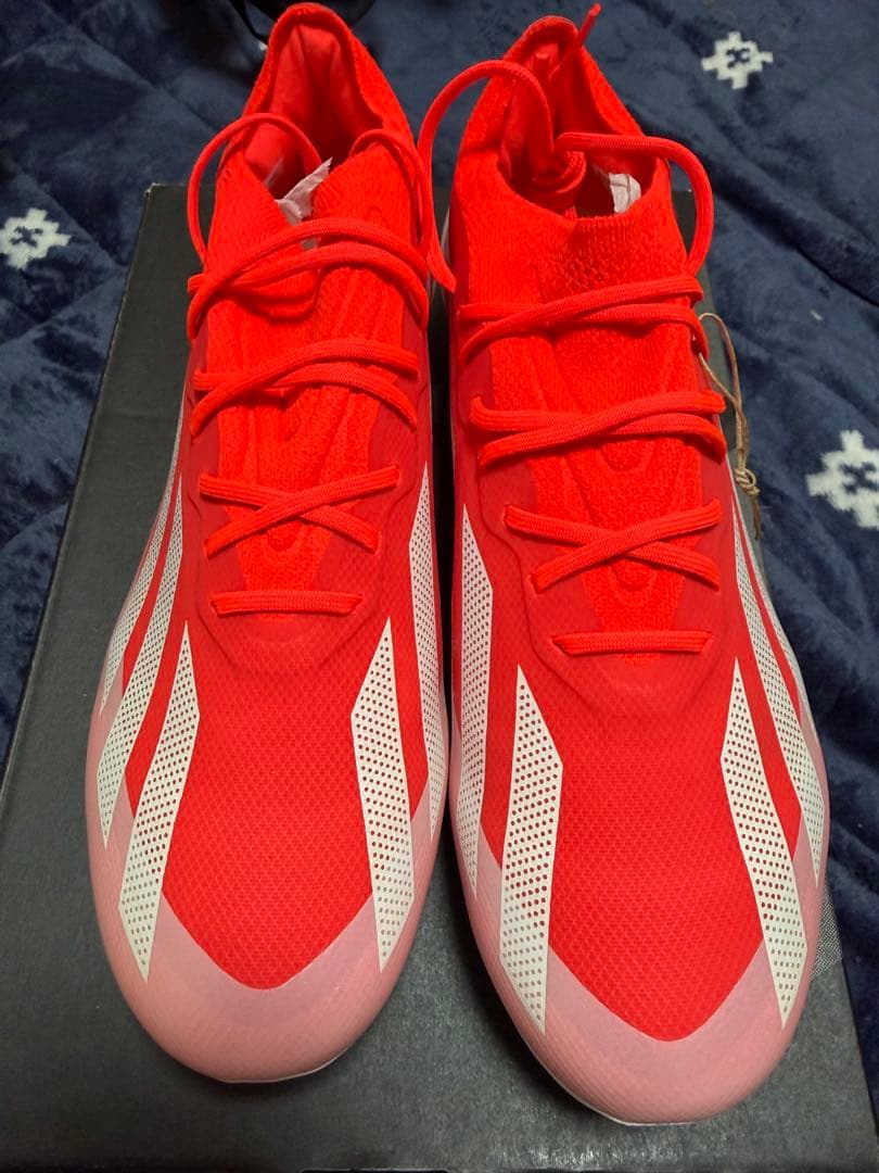 イワサキコーチ