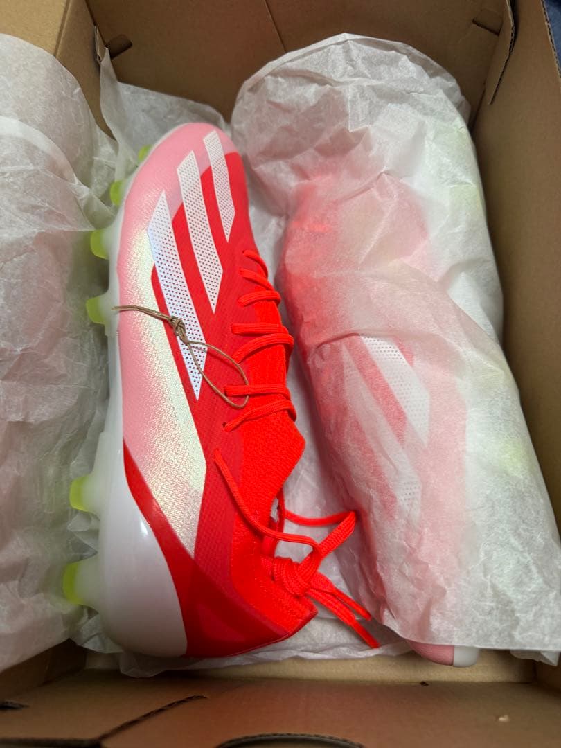 イワサキコーチ