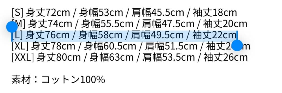 LADY GAGA レディー・ガガ Tシャツ 踊るか死ぬか Lサイズ