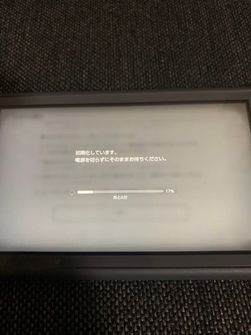 Nintendo Switch Lite グレー どうぶつの森　セット