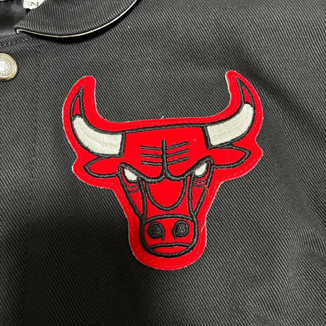 【超希少・USA製】ジェフハミルトン NBA シカゴブルズ スタジャン M