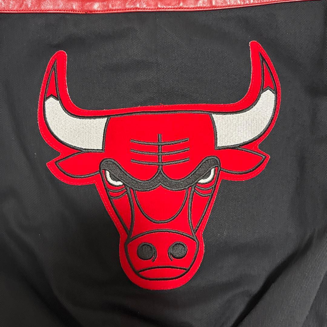 【超希少・USA製】ジェフハミルトン NBA シカゴブルズ スタジャン M