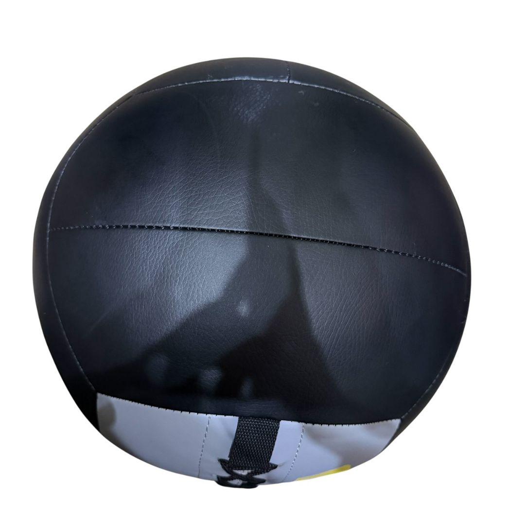 【ABsport】15KG メディシンボール　ウォール用