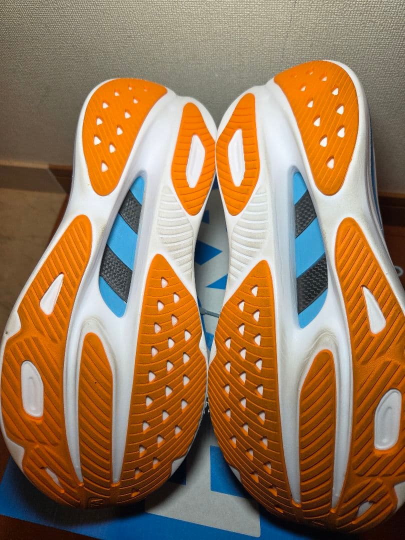 ホカ　スカイワードX 29.0cm