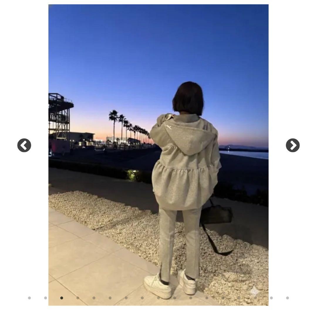 完売品　ロージーモンスター♡half zip parker【GLAY】