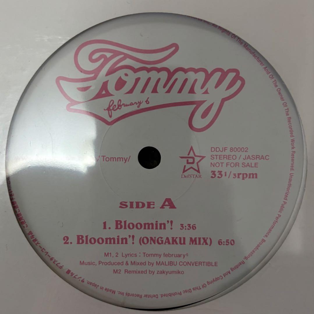 [激レア] February6 Bloomin'! プロモレコード