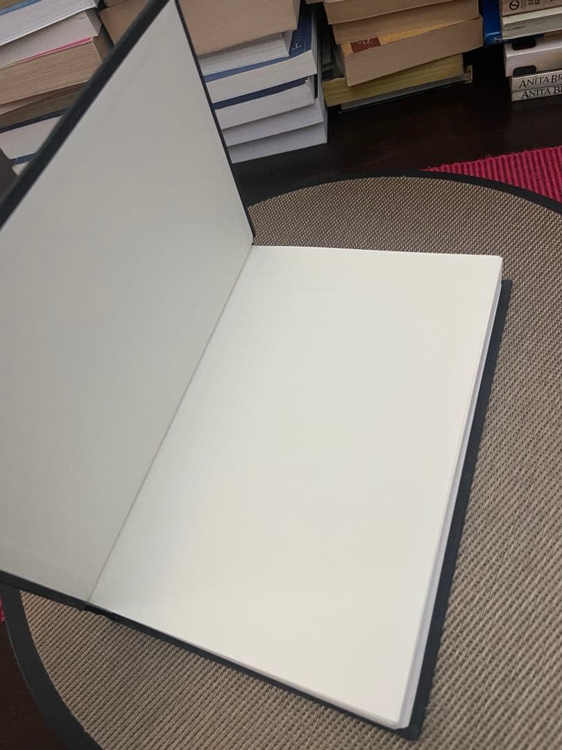 洋書 THE FRENCH NEW AUTOBIOGRAPHIES