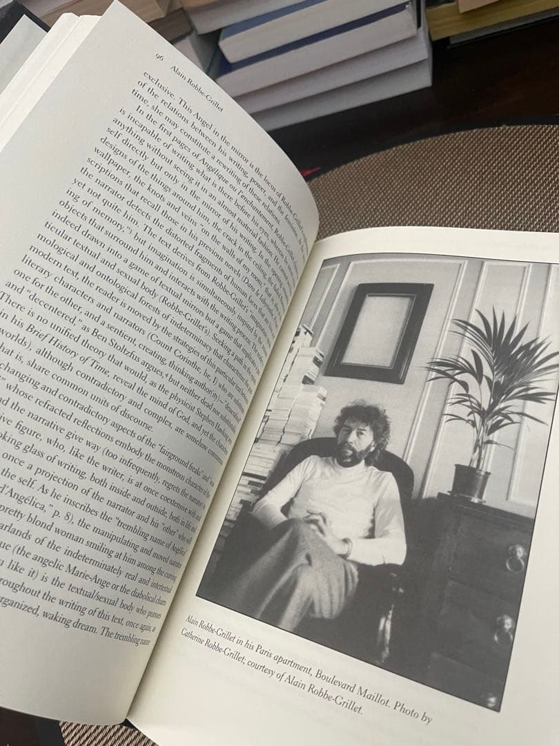 洋書 THE FRENCH NEW AUTOBIOGRAPHIES