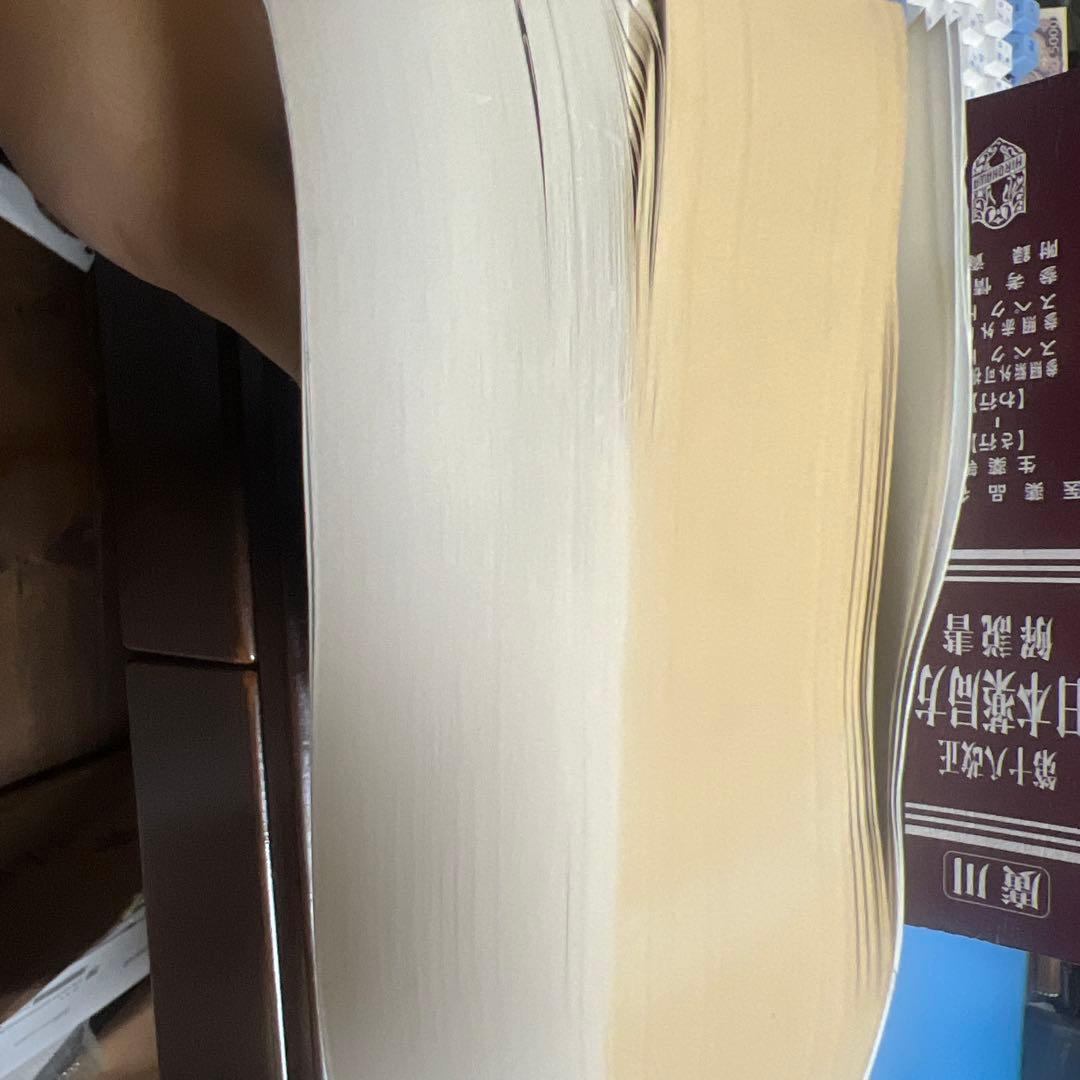 日本薬局方解説書　第十八改正