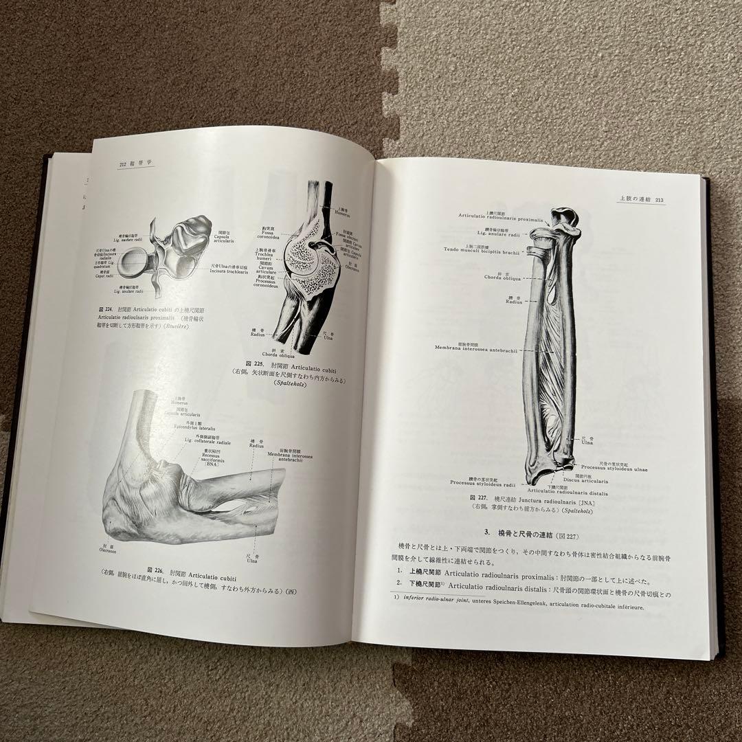解剖学 1 Anatomy 1