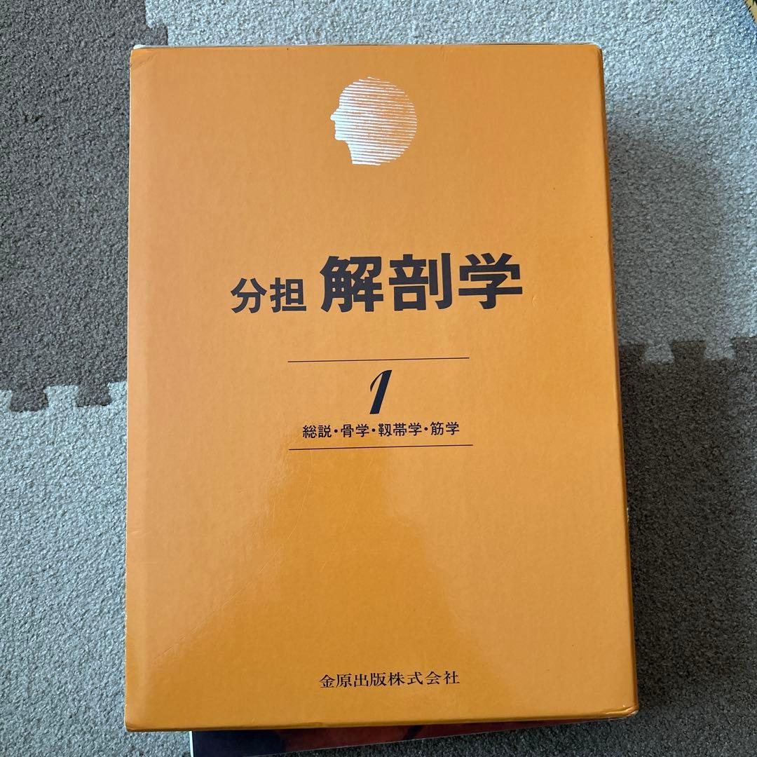 解剖学 1 Anatomy 1