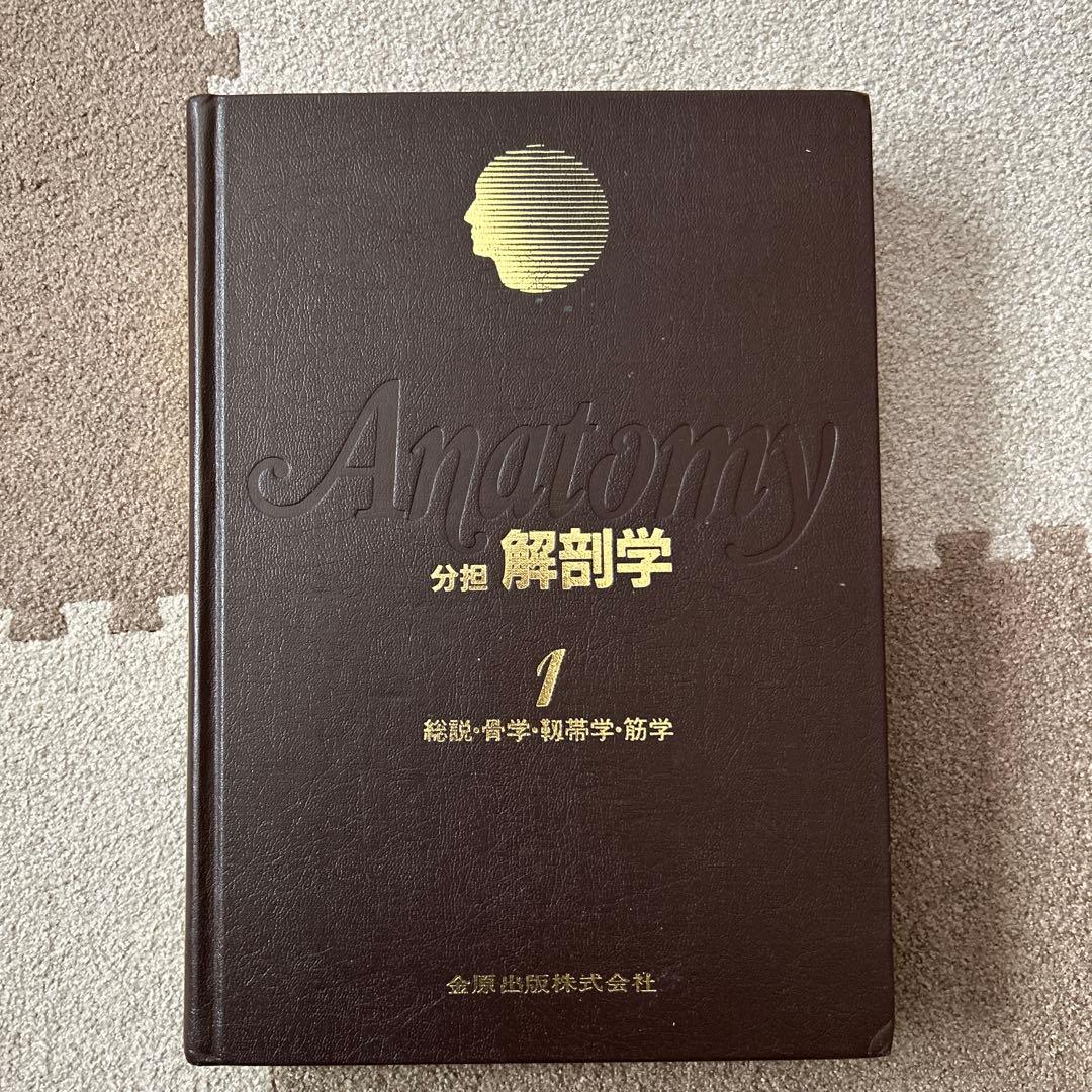 解剖学 1 Anatomy 1