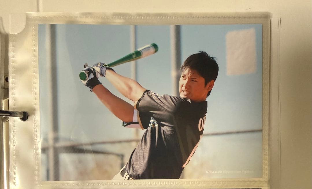 2017年 ホームランシリーズコレクションカードホルダー