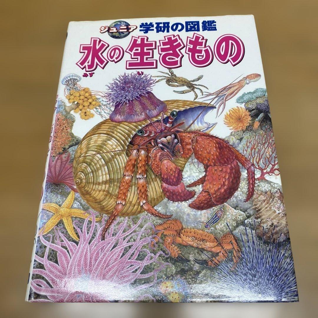 ringo 小学館NEO・こども百科・学研図鑑・NEO＋　他27冊セット