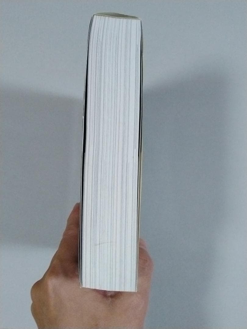 アンプ大名鑑 Fender 編　国内限定2000部　フェンダーアンプ　希少