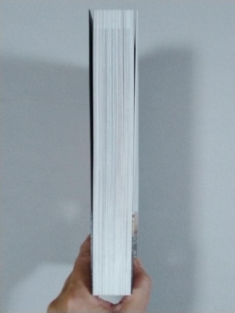 アンプ大名鑑 Fender 編　国内限定2000部　フェンダーアンプ　希少