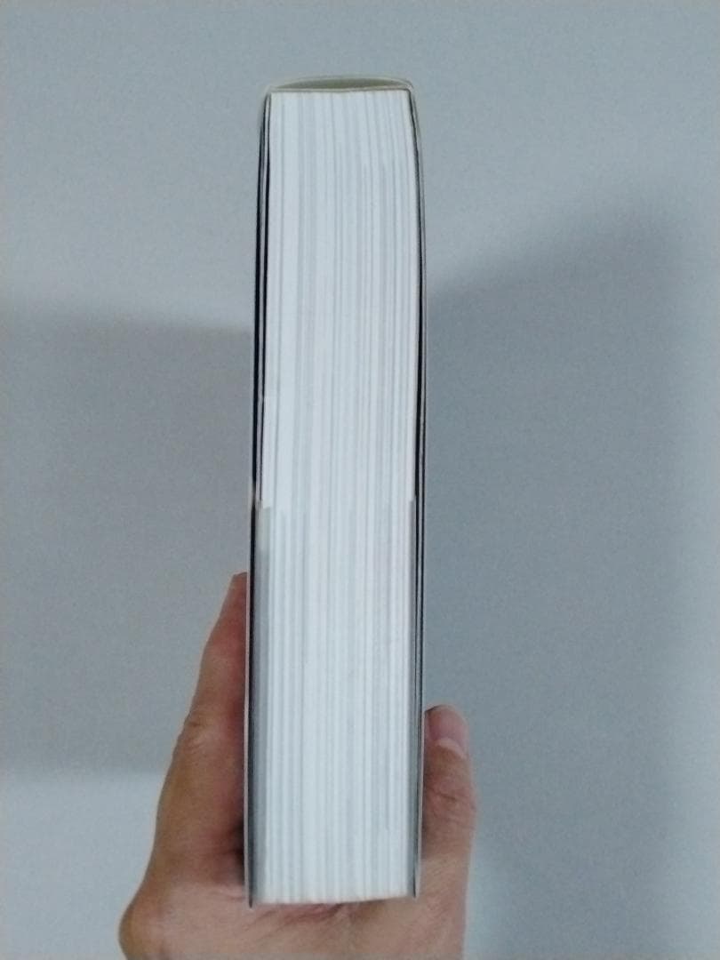 アンプ大名鑑 Fender 編　国内限定2000部　フェンダーアンプ　希少