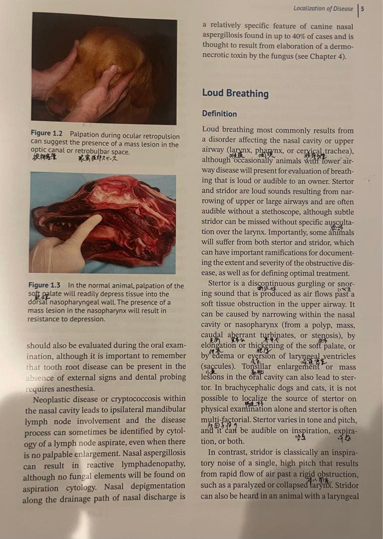 健康・医学 Canine and Feline Respiratory Medicine3E