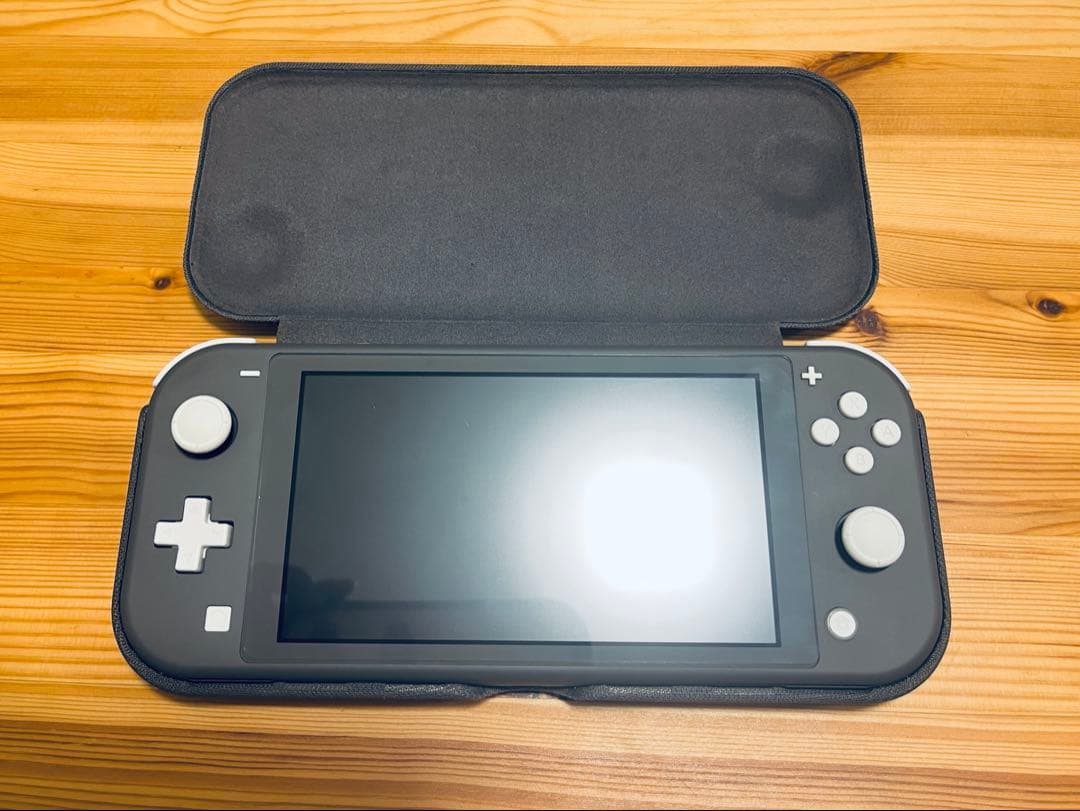 【値下げ済】Nintendo Switch Lite 本体+他付属品