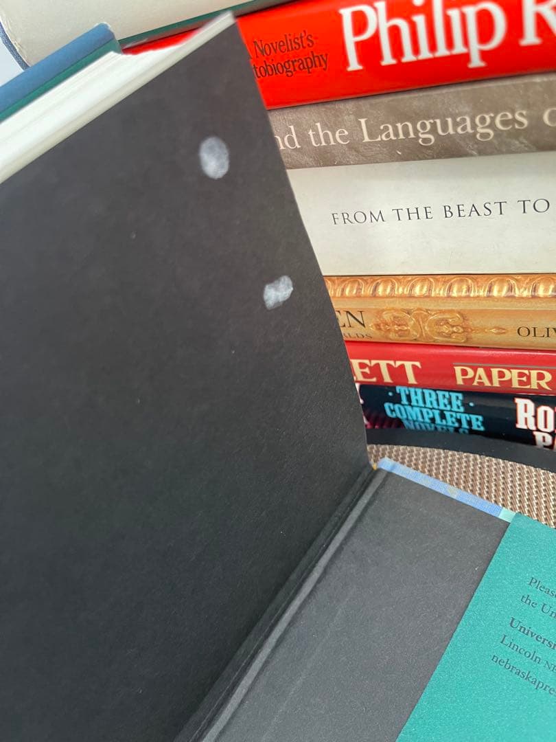 洋書 Willa Cather Obscure Destinies