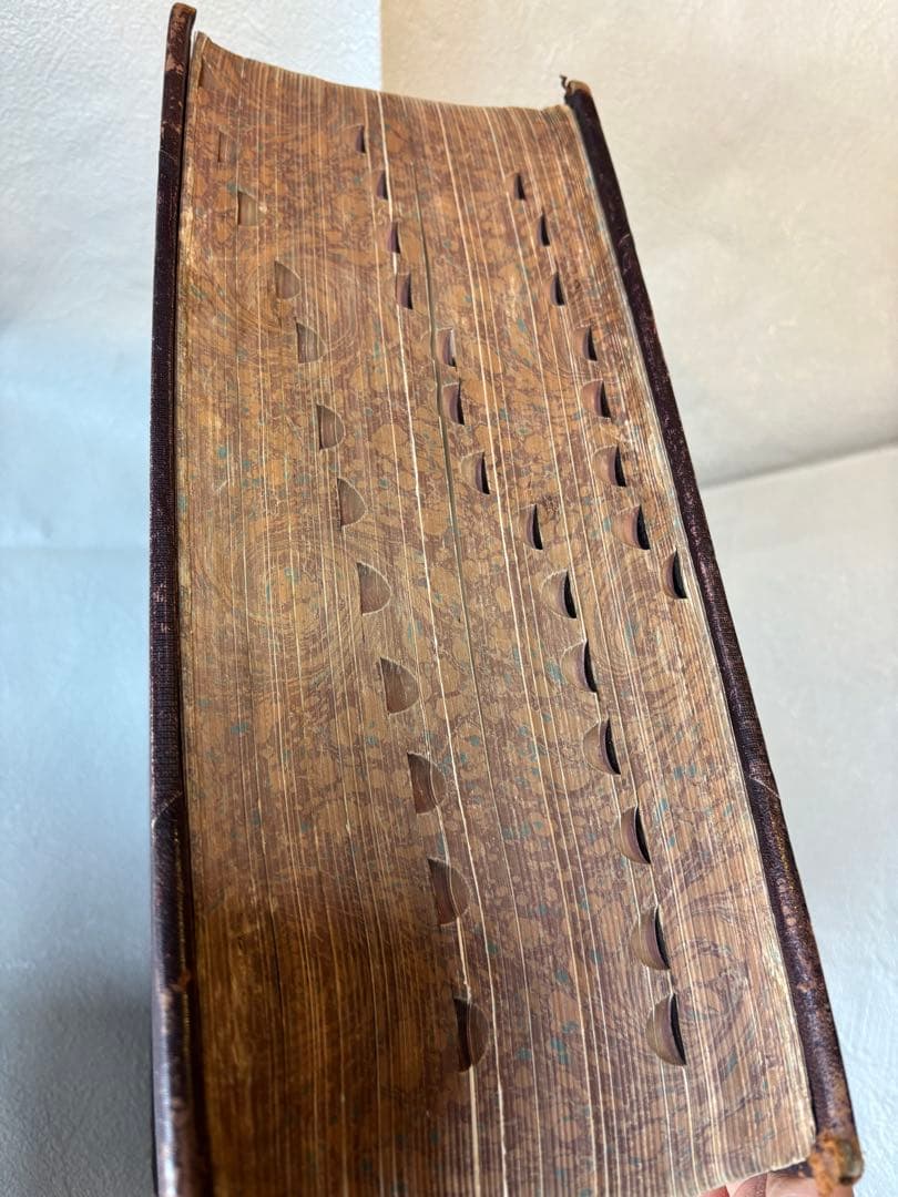 辞書　Standard Dictionary English Languae