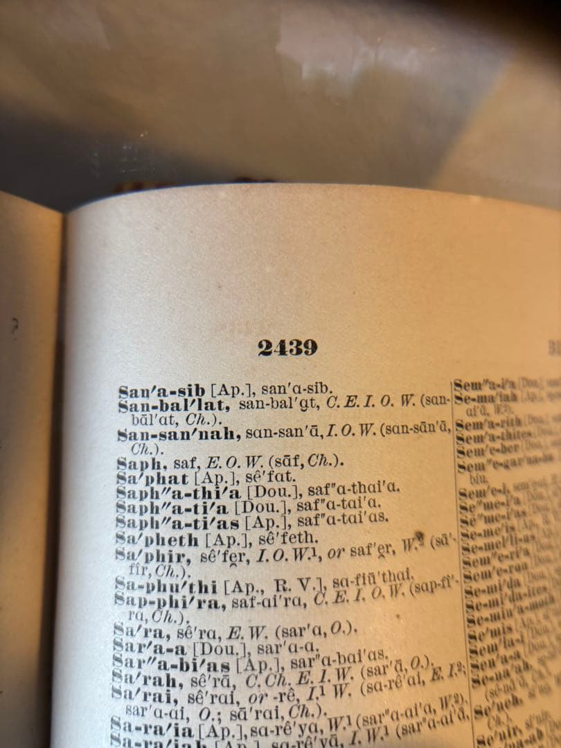 辞書　Standard Dictionary English Languae