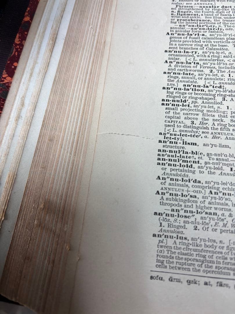 辞書　Standard Dictionary English Languae