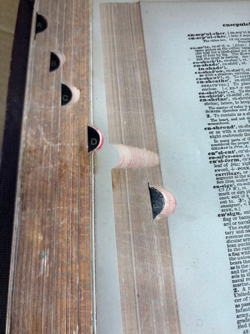 辞書　Standard Dictionary English Languae