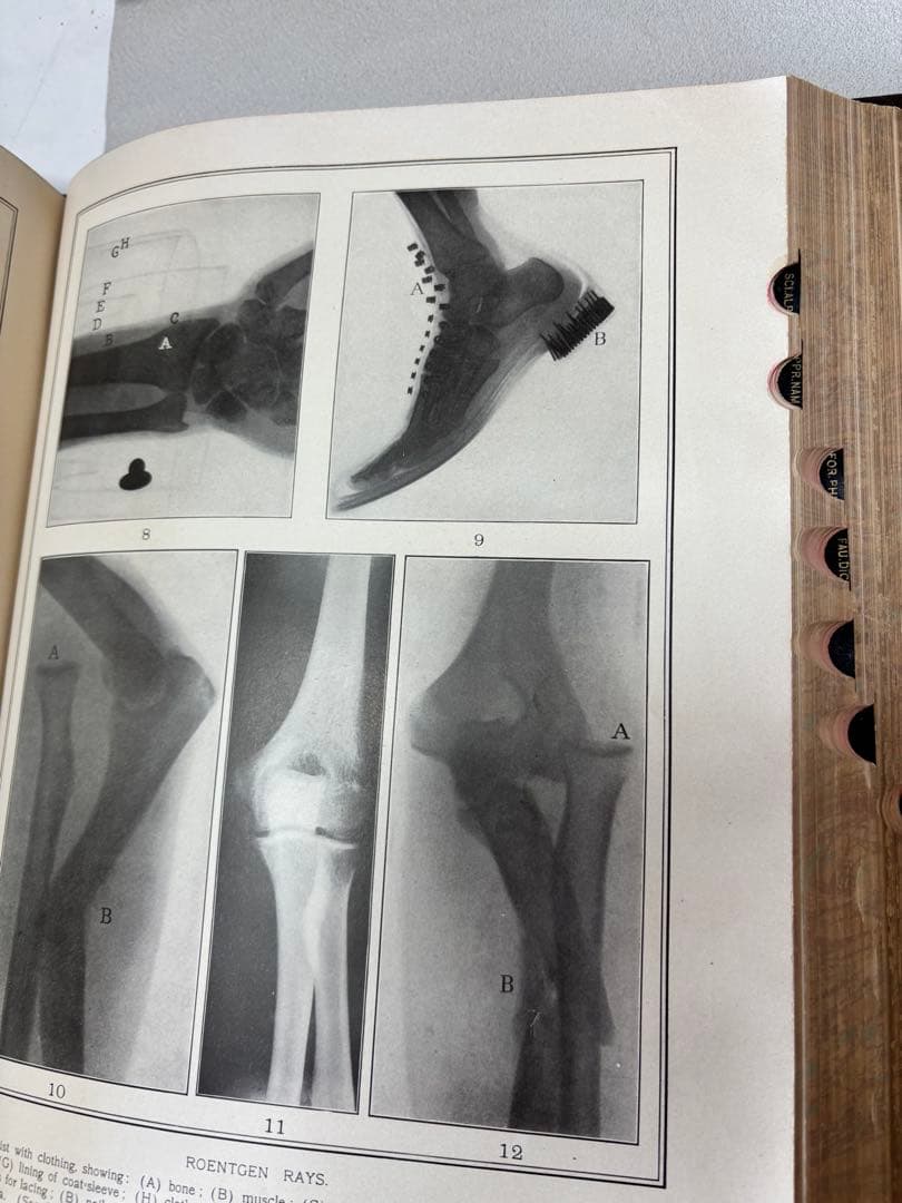 辞書　Standard Dictionary English Languae