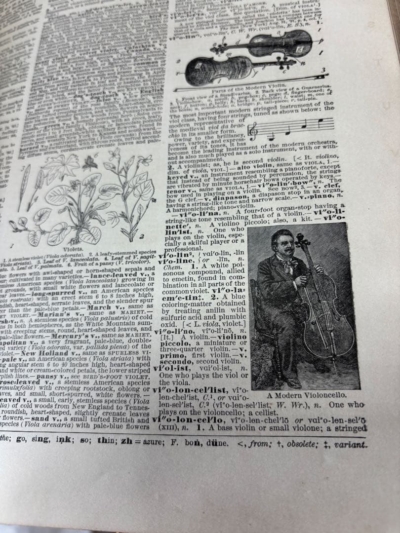 辞書　Standard Dictionary English Languae