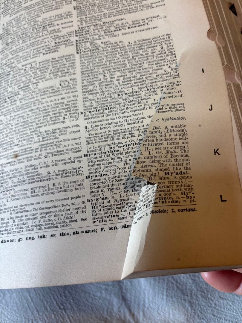 辞書　Standard Dictionary English Languae